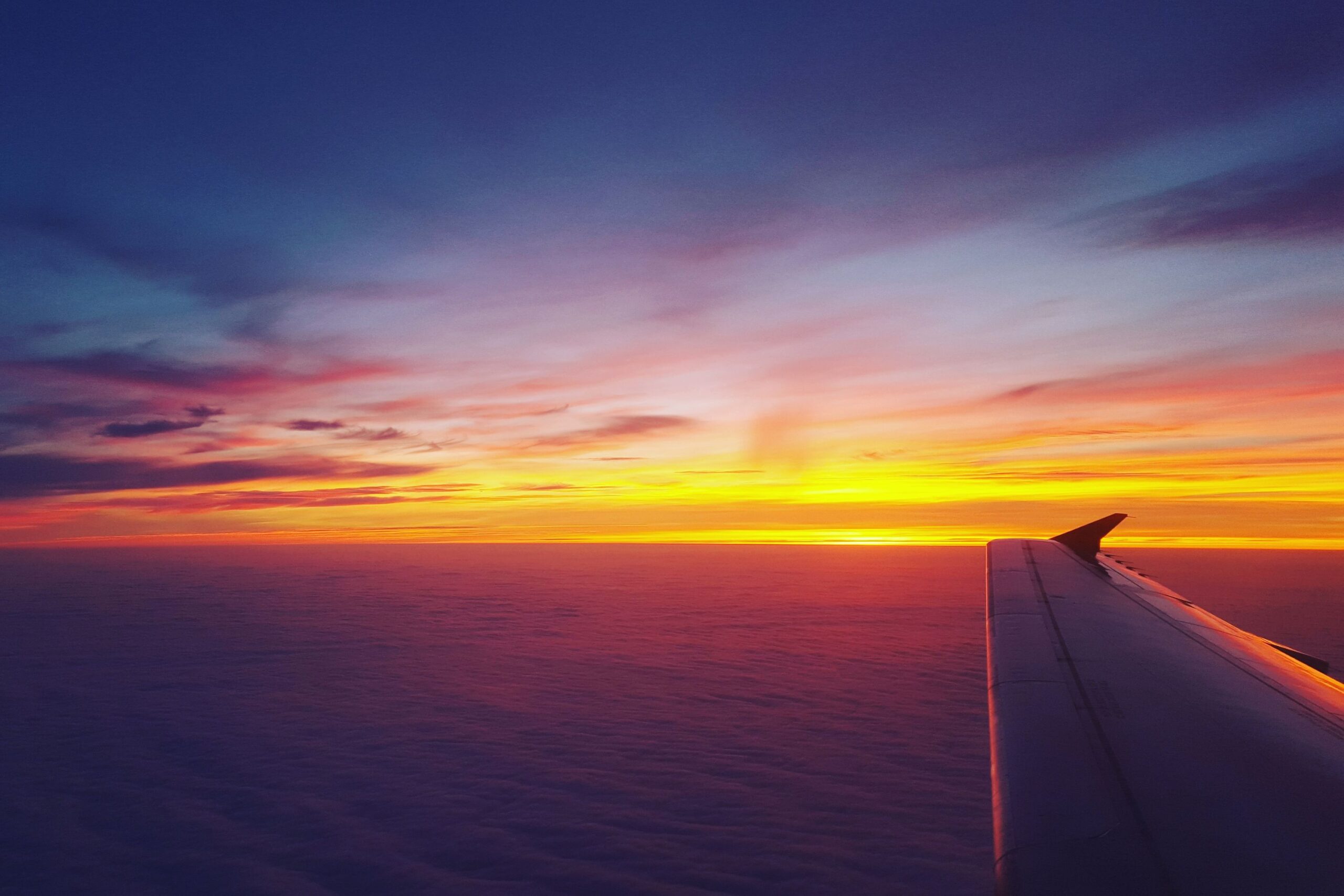 What Is Dynamic Pricing for Airlines How It Affects Flight Costs